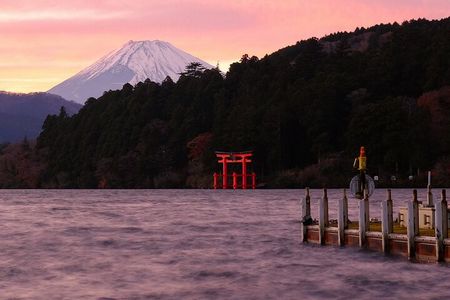 Tokyo: Hakone Fuji Day Tour w/ Cruise, Cable Car, Volcano