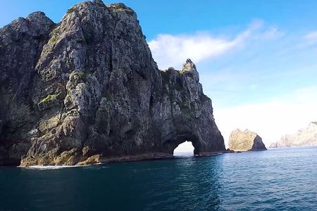 [PRIVATE] Bay of Islands Discovery From Auckland
