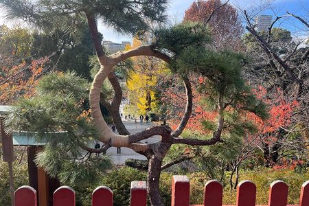 The Shogun Tour in Tokyo