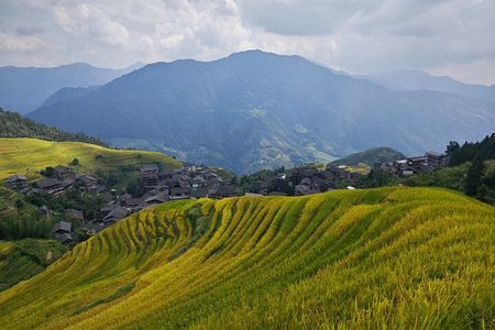 Longji Rice Terraces Hiking Day Tour 