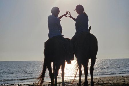 Private Horseback Riding in Muscat Beach