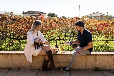 Malaga: Vineyard and Cellar Visit with 6 Top Wines and tapas