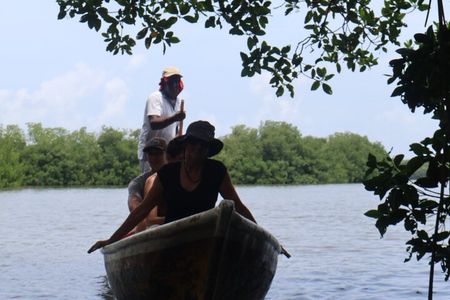 Artisanal Fishing of Crabs and Fish in Mangroves with Natives
