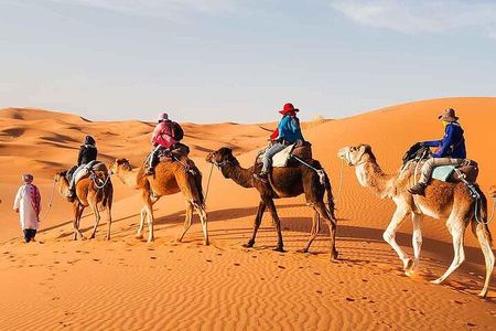 Marrakech to Fez 3 Day Desert Tour with Camel Ride & Luxury Camp