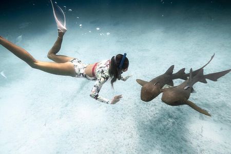 Puerto Rico Private Half Day Shark Diving