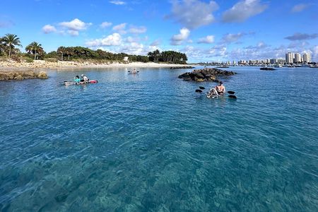 Clear Kayak Peanut Island Guided Tour Palm Beach Singer Island