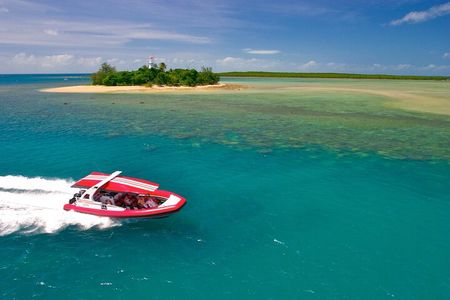Half Day Low Island and Lagoon Snorkeling from Port Douglas