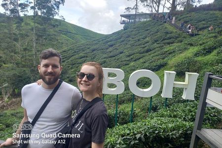 Cameron Highlands Private Day Tour from Ipoh, Package B