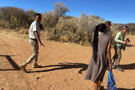 Predator Encounter: Half-Day Carnivore Feeding Windhoek 