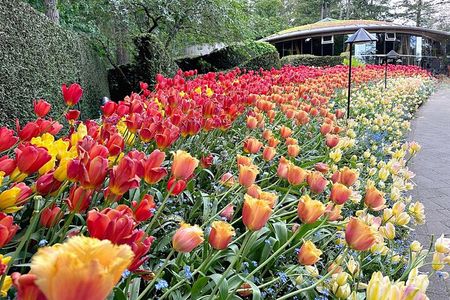 Butchart Gardens and Victoria City Private Luxury Tour 1-4 Pax