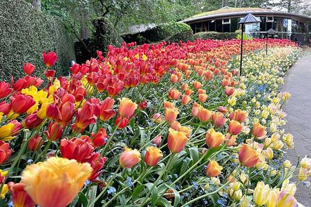 Butchart Gardens and Victoria City Private Tour 1-7 pax