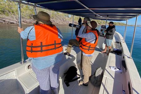 Birding By Sea and Land 4hr. La Paz Mexico