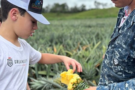 Pineapple Farm Tour like a local (during rainy season)