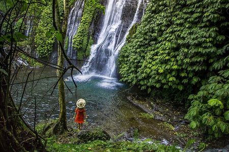 Most Beautiful Waterfall: Banyumala Waterfall