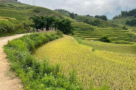 Ta Van Trekking Tour to Bamboo Forest & Ethnic Minority Villages