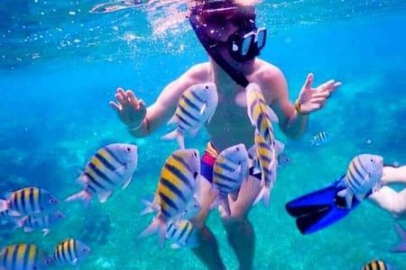 Roatan private Snorkeling Combo Sloths Monkey West Bay beach