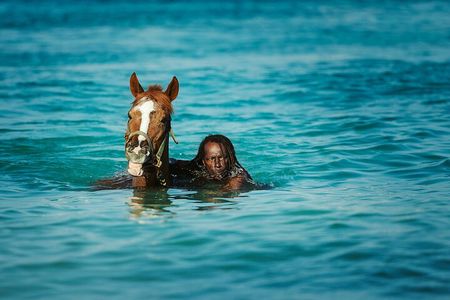 Experience the Swimming Horses at Carlisle Bay & the Garrison