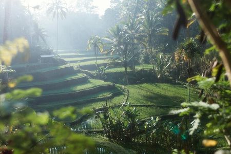 Best Ubud Monkey Forest, Rice Terrace, Water Temple, Jungle Swing