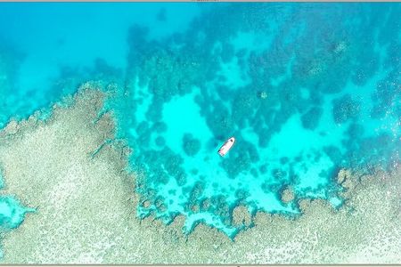 Half Day Outer Reef Snorkelling Tour from Port Douglas