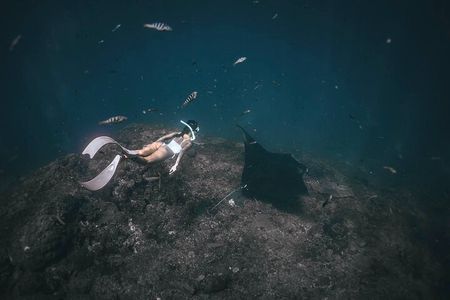 Snorkeling and Freediving Trip around Nusa Penida