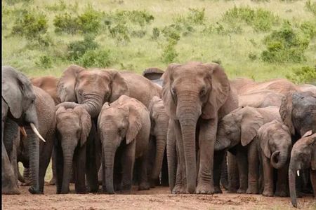 5-Days Garden Route Tour From Port Elizabeth to Cape Town