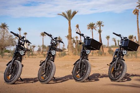 Unique Cycling Experience in Marrakech