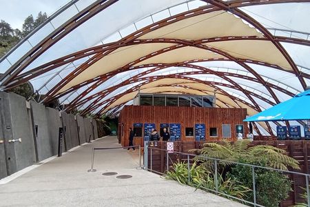 Waitomo Cave and Hobbiton Village Full Day Tour