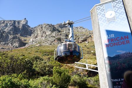 Cape Town City Walk & Table Mountain
