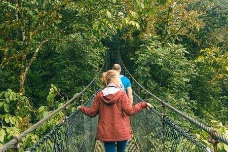Arenal Hanging Bridges Nature Tour