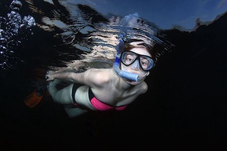 NIGHT TIME Guided Snorkel tour 