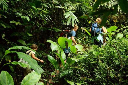 Jungle Experience: 1 Day Trek in Nam Ha NPA