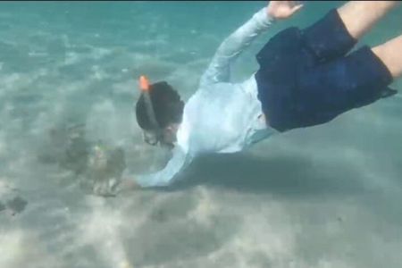 White Sand Beach Jaco Snorkel Adventure with Monkey Tour