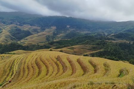 Longji Rice Terraces Private Day Tour: Dazhai & Pingan Villages