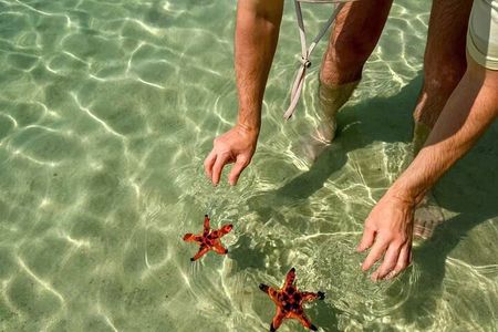 PRIVATE Discover Phu Quoc Local life and Starfish Beach & Lunch