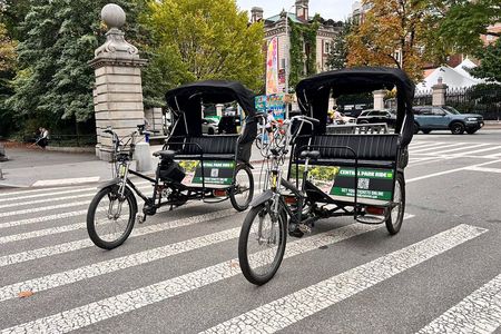  Official Central Park Pedicab Tours