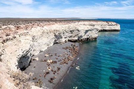 Cruise Shore Sea Lions Experience Punta Loma and city overview