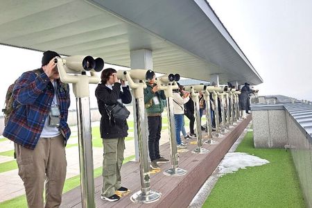 Explore DMZ from Seoul +(optional) Gondola/Red Suspension Bridge