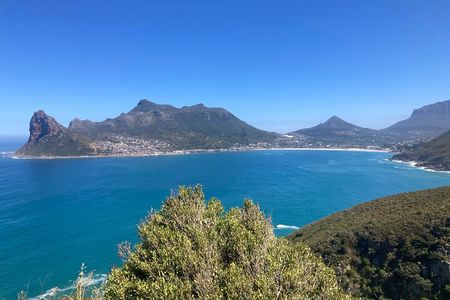 Cape Town: Peninsula, Cape of Good Hope and Penguins Tour