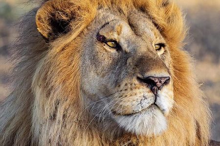 3 Day Safari to Serengeti National Park and Ngorongoro Crater