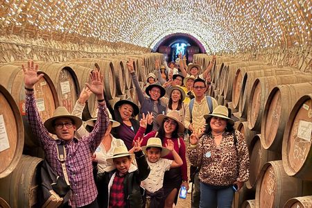 Private Cultural Tour to Tequila with TASTING