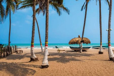 Tour to Palomino, breakfast, lunch with hotel pickup 