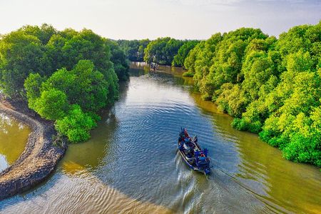 Full-Day All-Inclusive Guided Jungle Tour from Iquitos