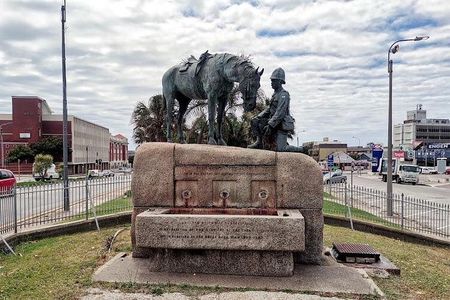 Full-Day Port Elizabeth & Kragga Kamma Reserve