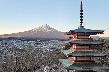 From Tokyo: Mount Fuji Full Day Private Tour With Engish Driver 
