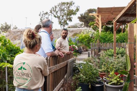 Santorini Sightseeing Tour and Farm Lunch Experience