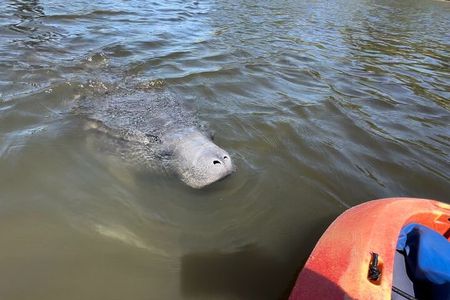 Robinson Preserve Mangrove Tour