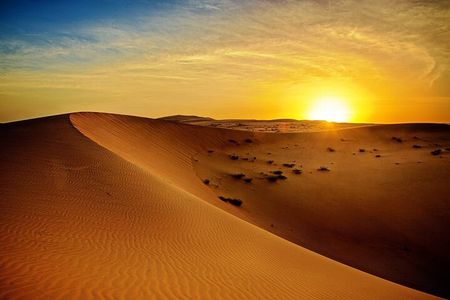 Dubai Morning Desert Safari with Quad Biking and More Activities