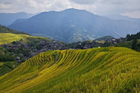 Longji Dazhai Rice Terraces: Cable Car Adventure