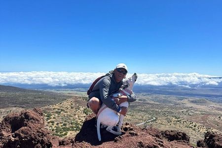 Kilauea Volcano Private Tour from Kailua-Kona