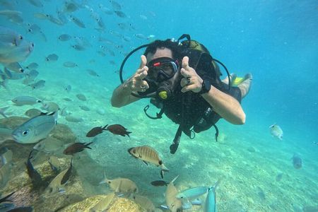 Scuba Diving , Snorkeling , and Swimming in Jeddah 